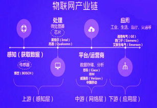 中國(guó)自主研發(fā)物聯(lián)網(wǎng)技術(shù)成為國(guó)際標(biāo)準(zhǔn)，引領(lǐng)全球網(wǎng)絡(luò)技術(shù)研發(fā)新浪潮