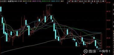 中國股市未來或可漲10倍的優質醫藥股名單